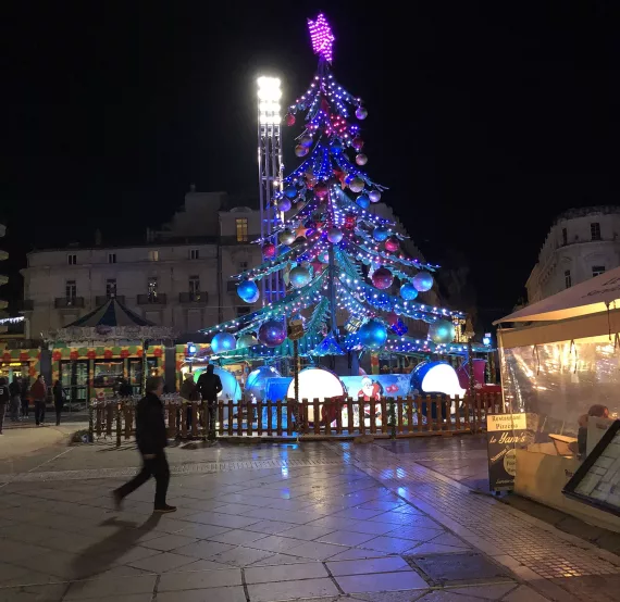 Sapin Merveilleux à Orléans de nuit