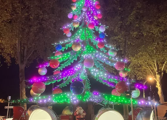 Sapin Merveilleux à Orléans de nuit