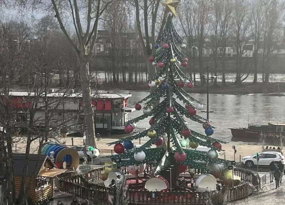 Sapin Merveilleux à Orléans