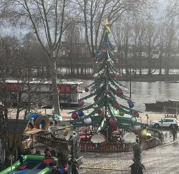 Sapin Merveilleux à Orléans